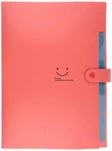 Teczka plastikowa A4 z 5 przegródkami czerwona, Beniamin