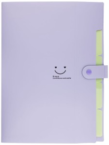 Teczka plastikowa A4 z 5 przegródkami fioletowa, Beniamin