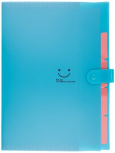 Teczka plastikowa A4 z 5 przegródkami niebieska, Beniamin