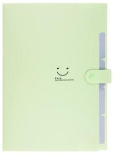 Teczka plastikowa A4 z 5 przegródkami zielona, Beniamin