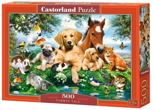 281323.jpg