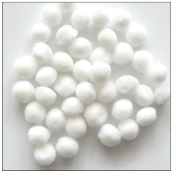 284025.jpg
