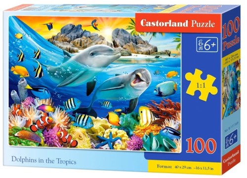 281677.jpg