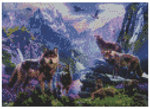 284523.jpg