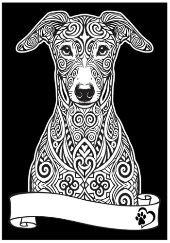 283296.jpg