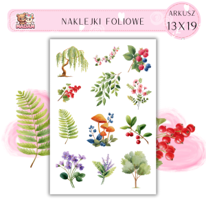 Naklejki Foliowe 13x19 Leśne Kwiaty 2 - Botaniczne inspiracje MaDam Creative