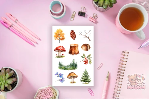 17904.png