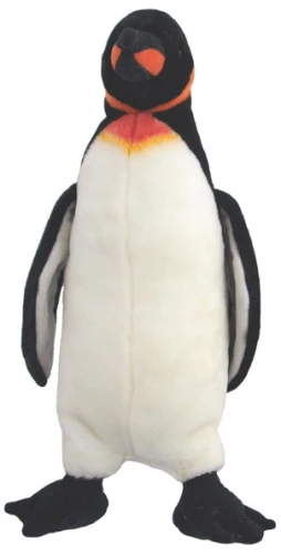 294571.jpg
