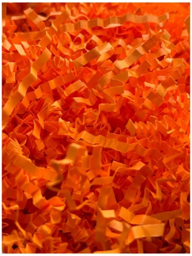 294641.jpg