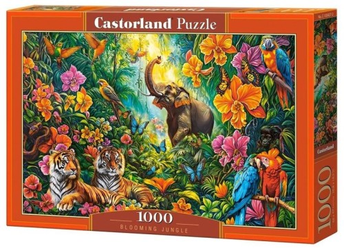 294911.jpg