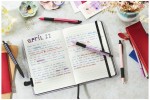 4006381624794_3.jpg