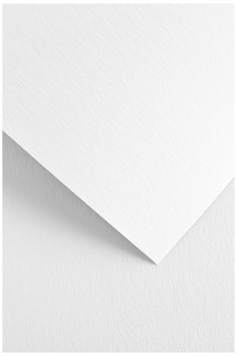 5903069057655.jpg