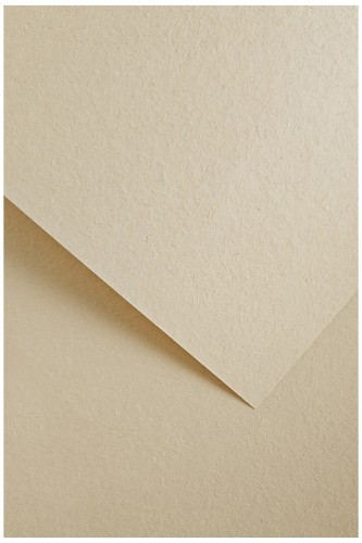 5903069059482.jpg