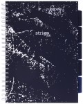 5905658814137.jpg