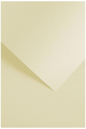 5903069056009.jpg