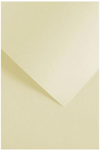 5903069056009.jpg