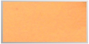 5902581181251.jpg