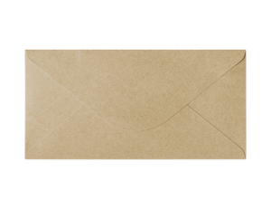 Koperty ozdobne DL Nature ciemnobeżowy 120g 10 szt. K, Galeria Papieru