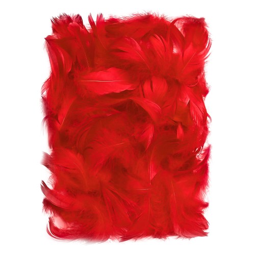15269
