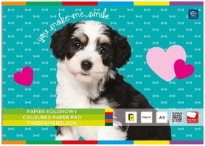 Papier kolorowy A5 10 arkuszy - Interdruk