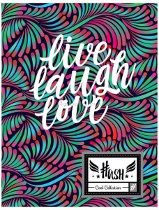 Zeszyt A5 60k kratka HS-31 Hash, Astra