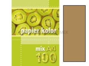 Papier kolorowy brązowy A4 80g 100 ark., Kreska