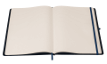 16155