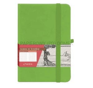 Notes Antra z gumką w kratkę A6 zielony Secesja
