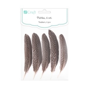 Pióra Bażanta 18-20 Cm, 5 Szt Dpcraft