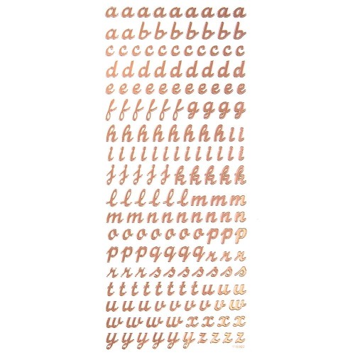 24419