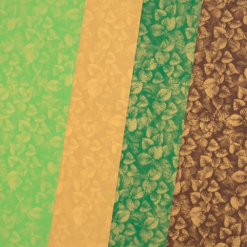 Karton_MIX_SilaZieleni_208920.jpg