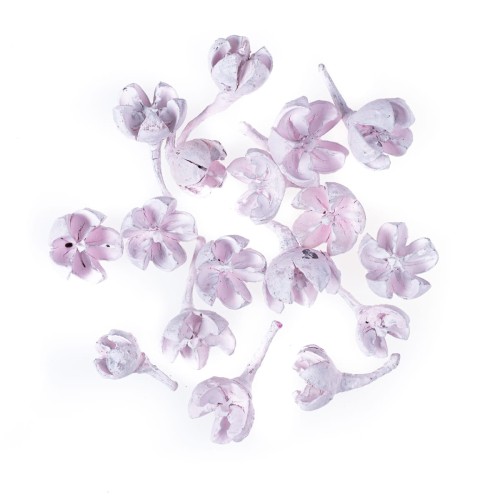 product-13986.jpg