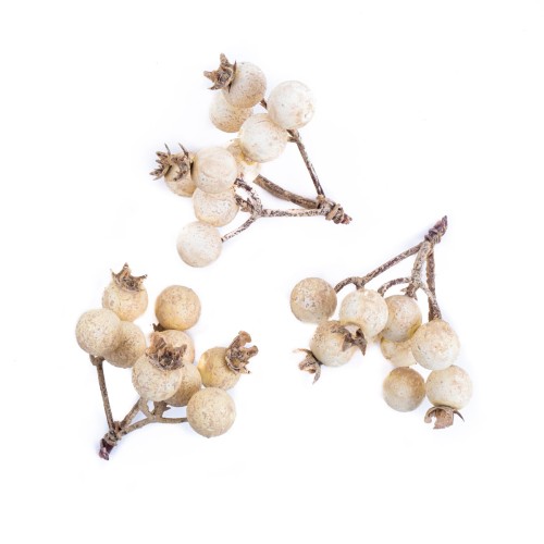 product-13992.jpg